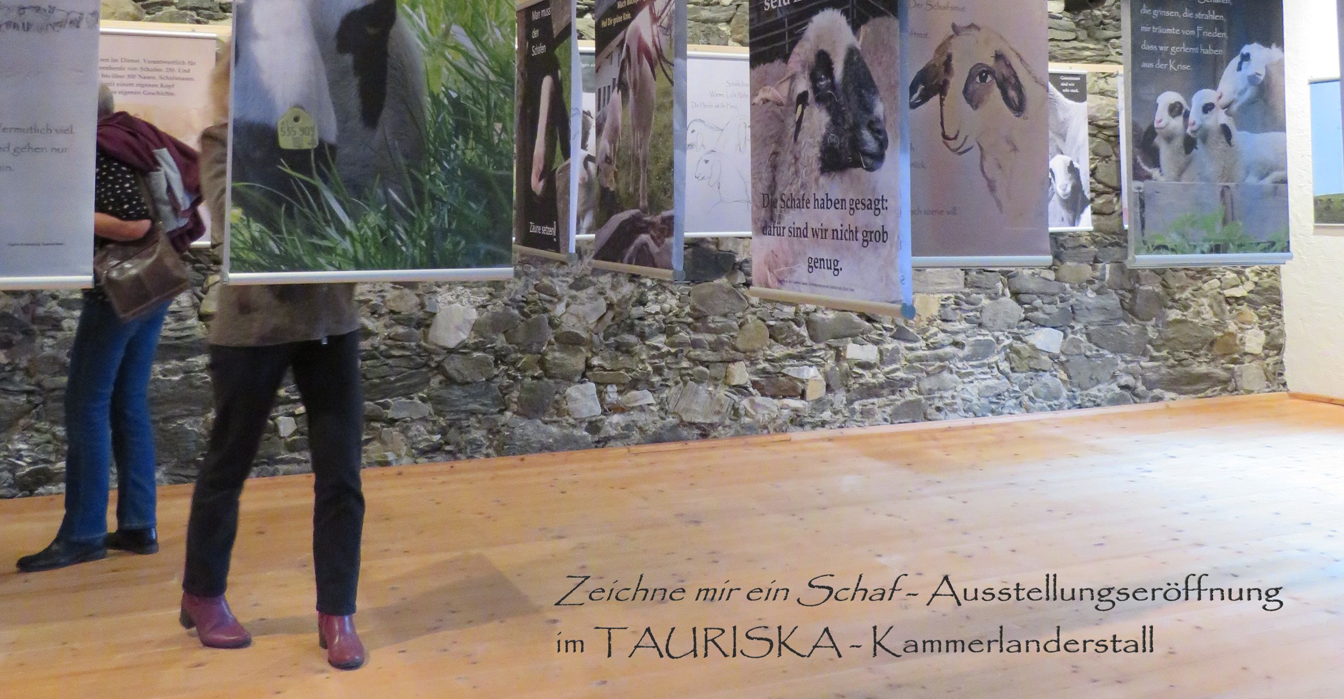 Schaf Ausstellung
